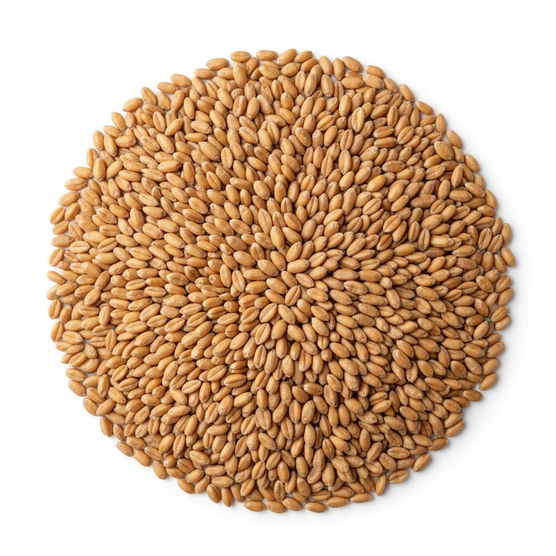 10% Azelaic Acid