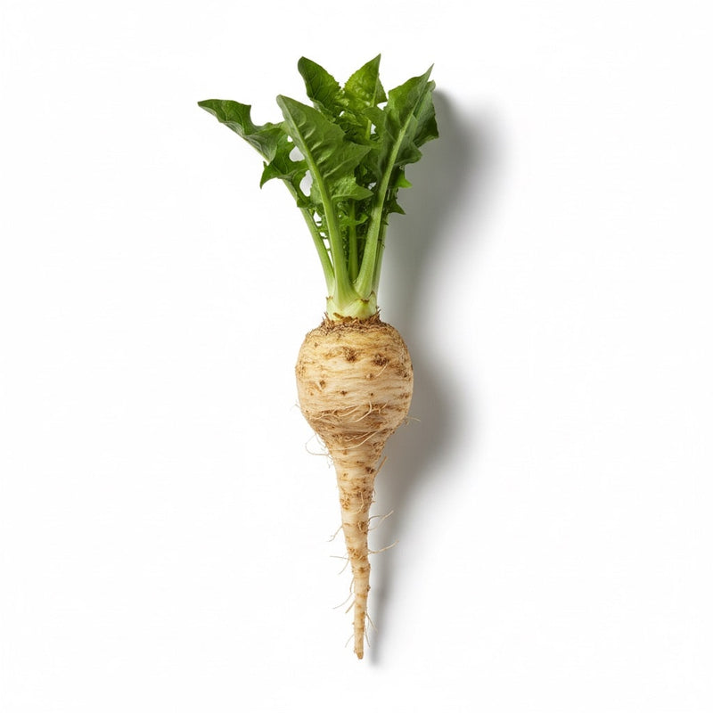 Inulin (Chicory Root)