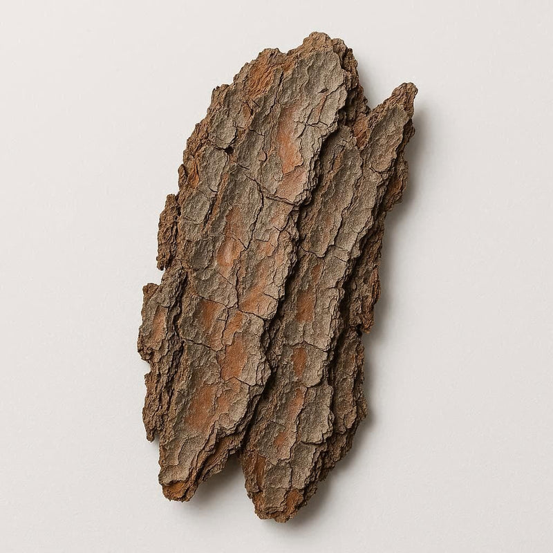 Pine Bark Extract