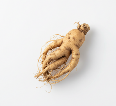 Korean Ginseng Extract