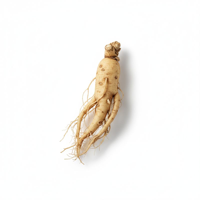 Panax Ginseng Root Extract